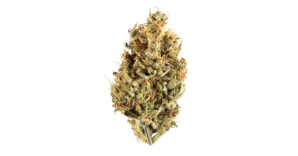 Black Jack Auto