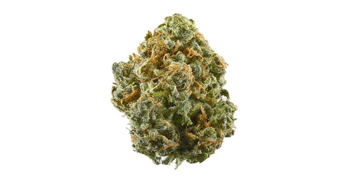 Blue Dream Autoflower