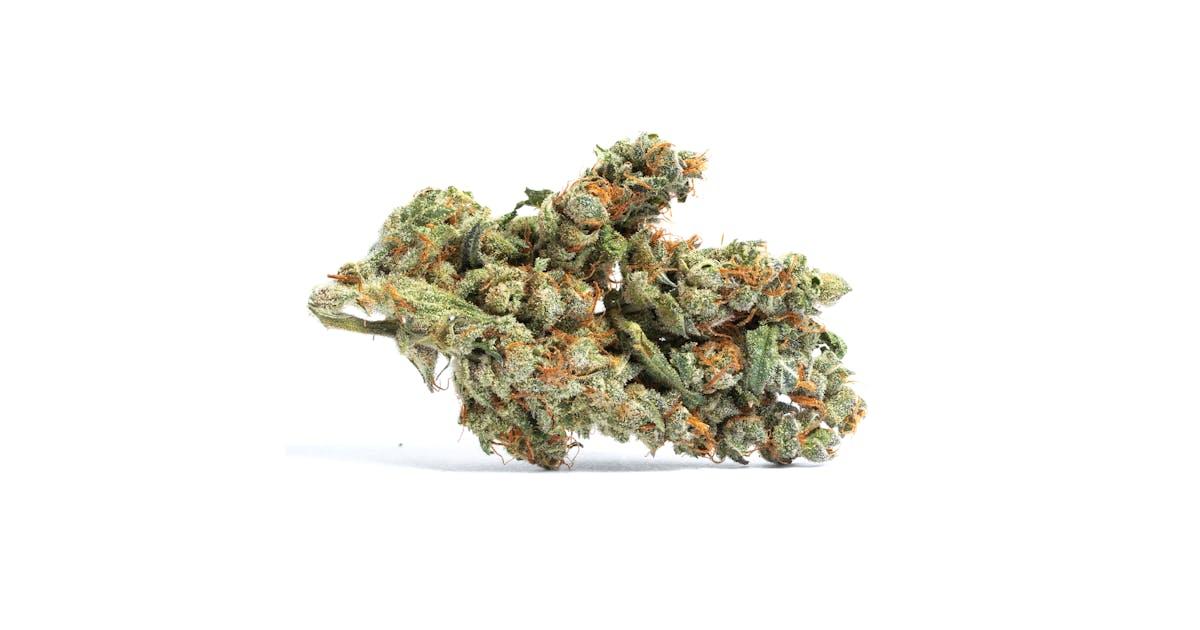 Blueberry Cookies