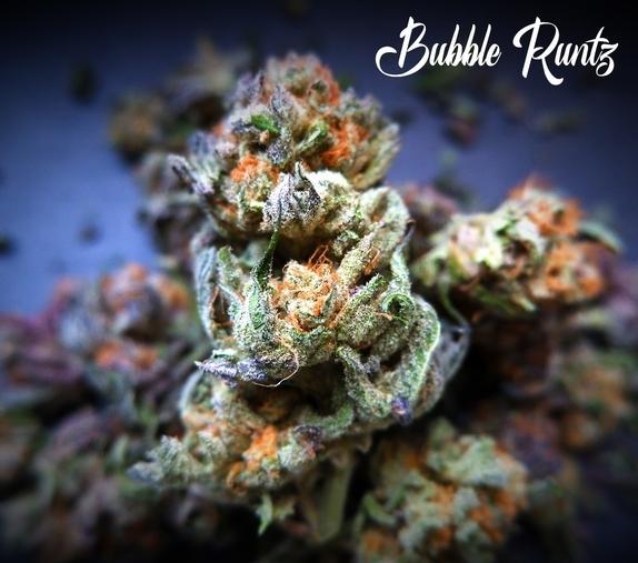 Bubble Runtz Auto