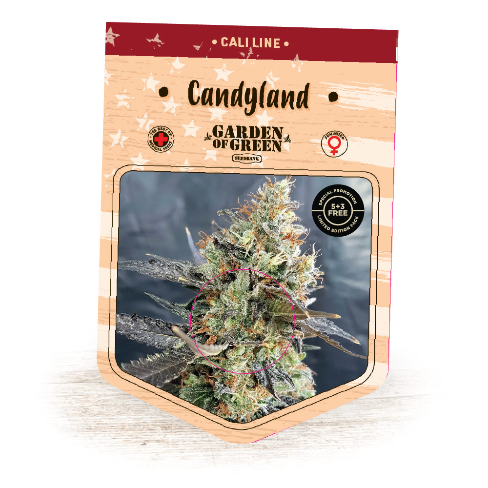 CandyLand