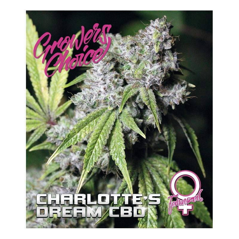 Charlotte's Dream CBD Auto