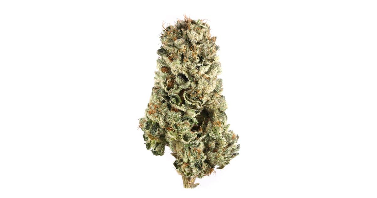 Cherry Pie