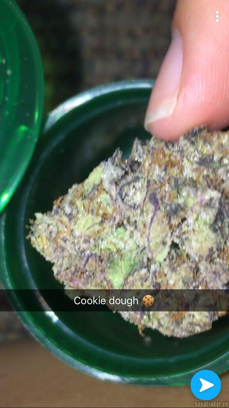 Cookie Dough