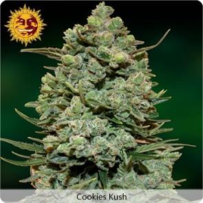 Cookies Kush