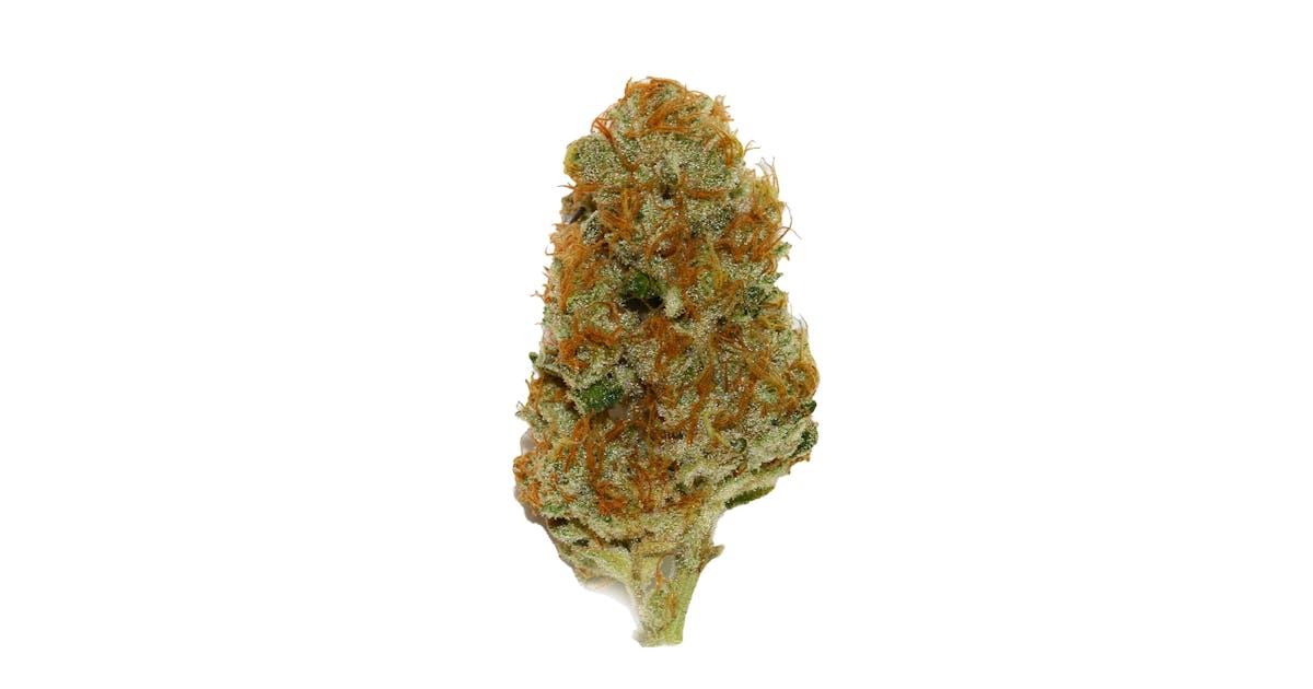 Cream Caramel