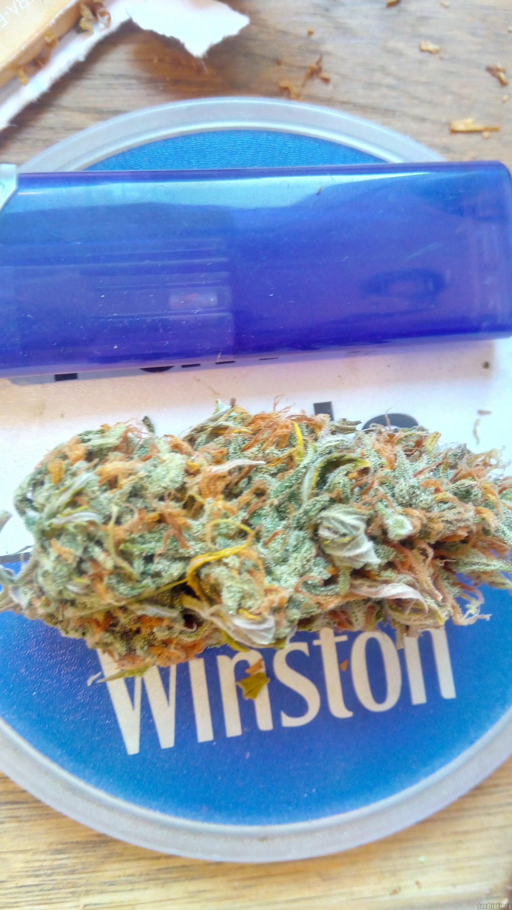 Crystal Candy Auto