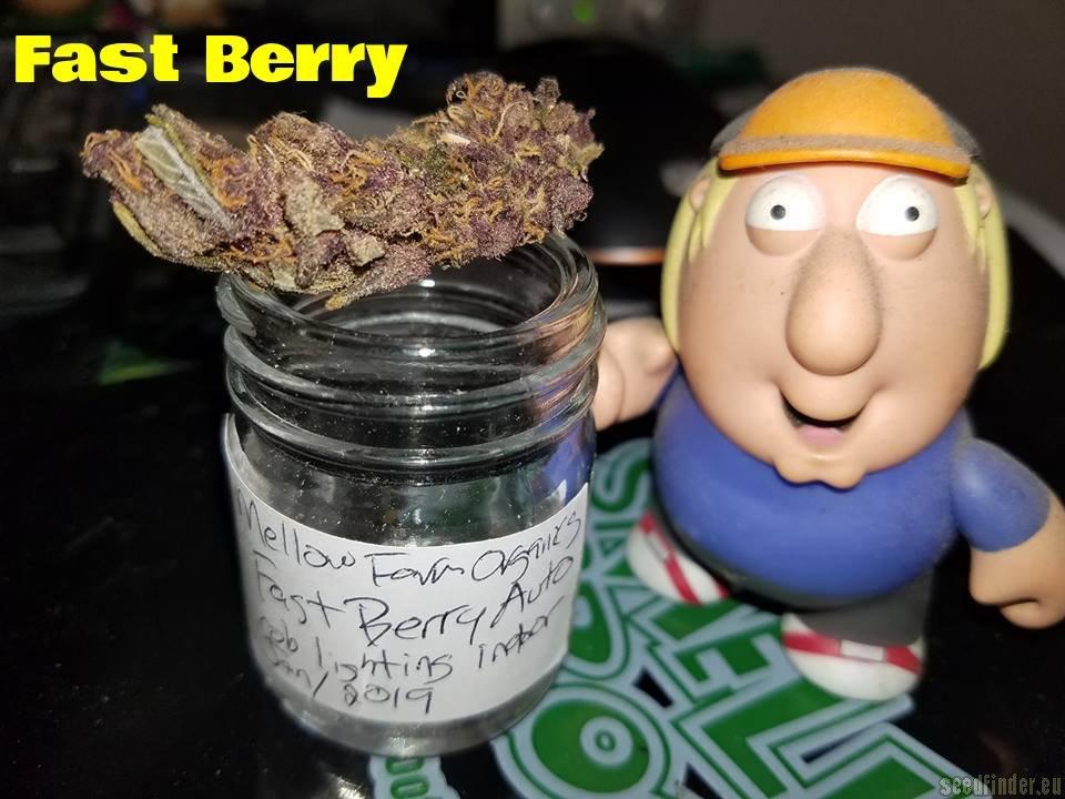 FastBerry