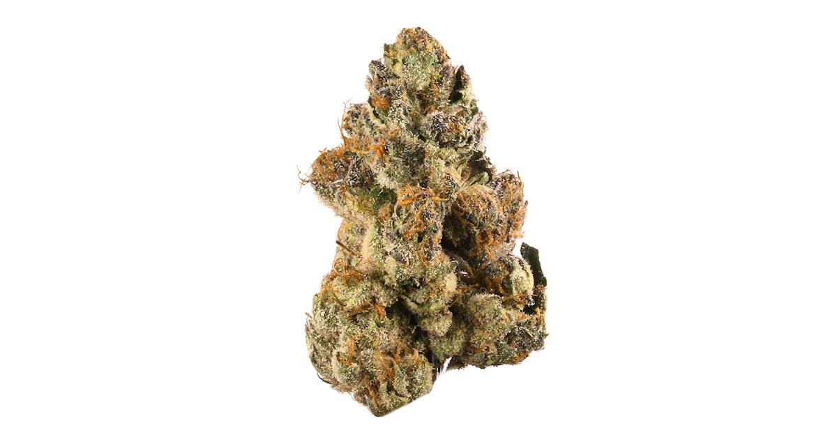 Gelato