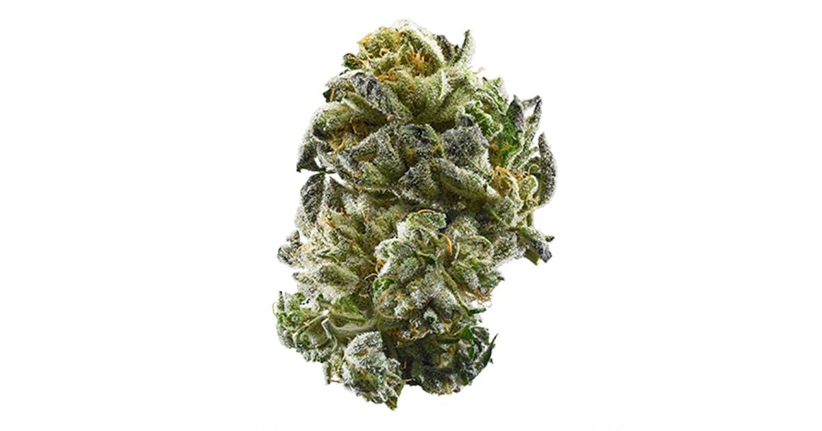 Girl Scout Cookies Auto