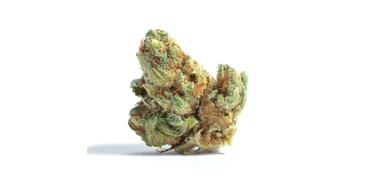 Goji OG