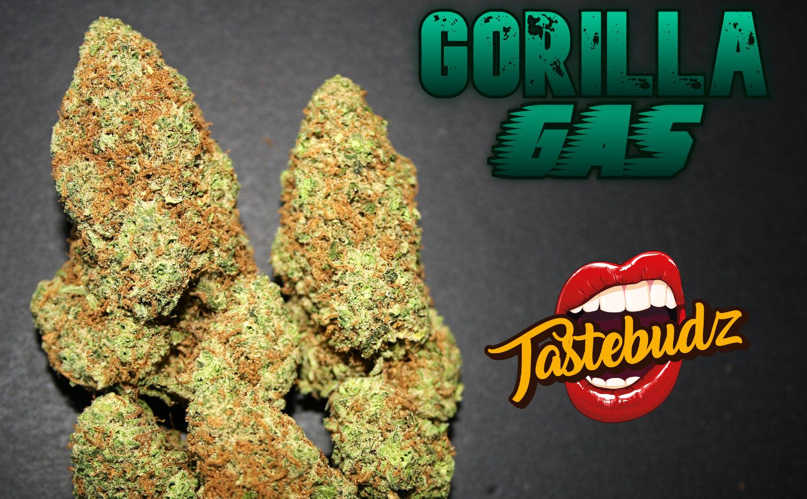 Gorilla Gas Auto