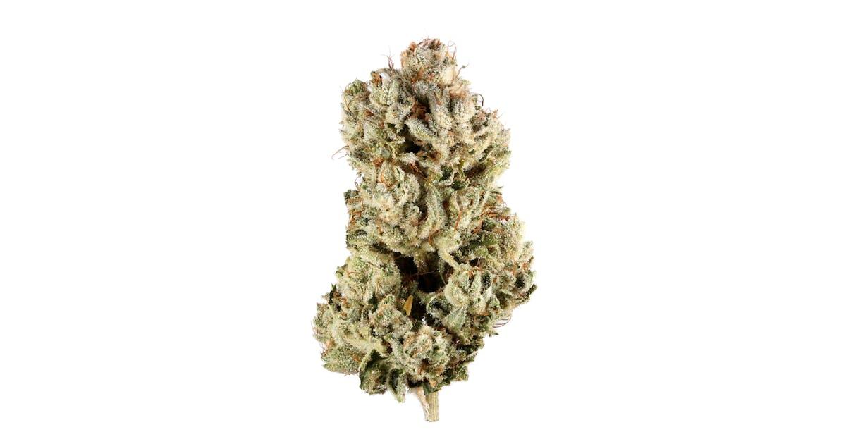 Gorilla Glue 4