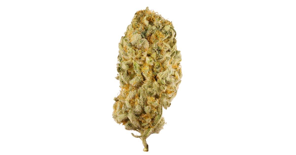 Jack Herer Auto
