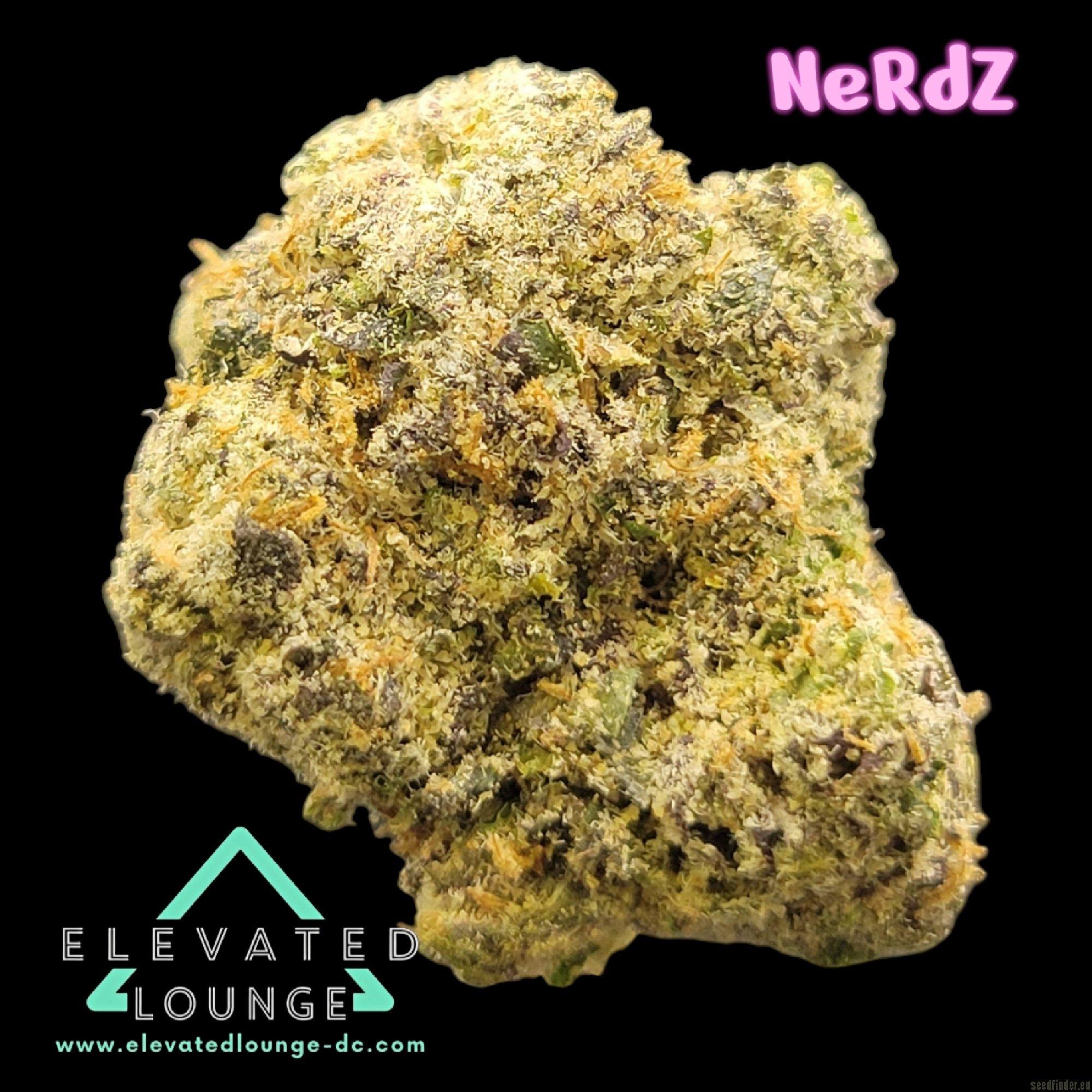 Nerdz