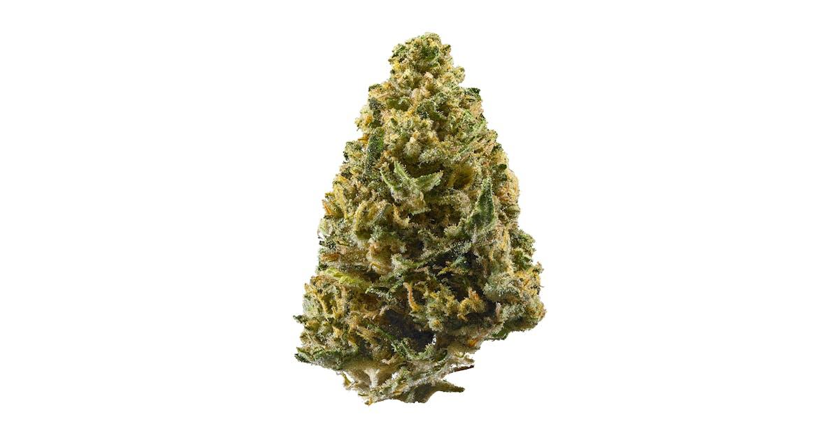 Northern Lights Auto