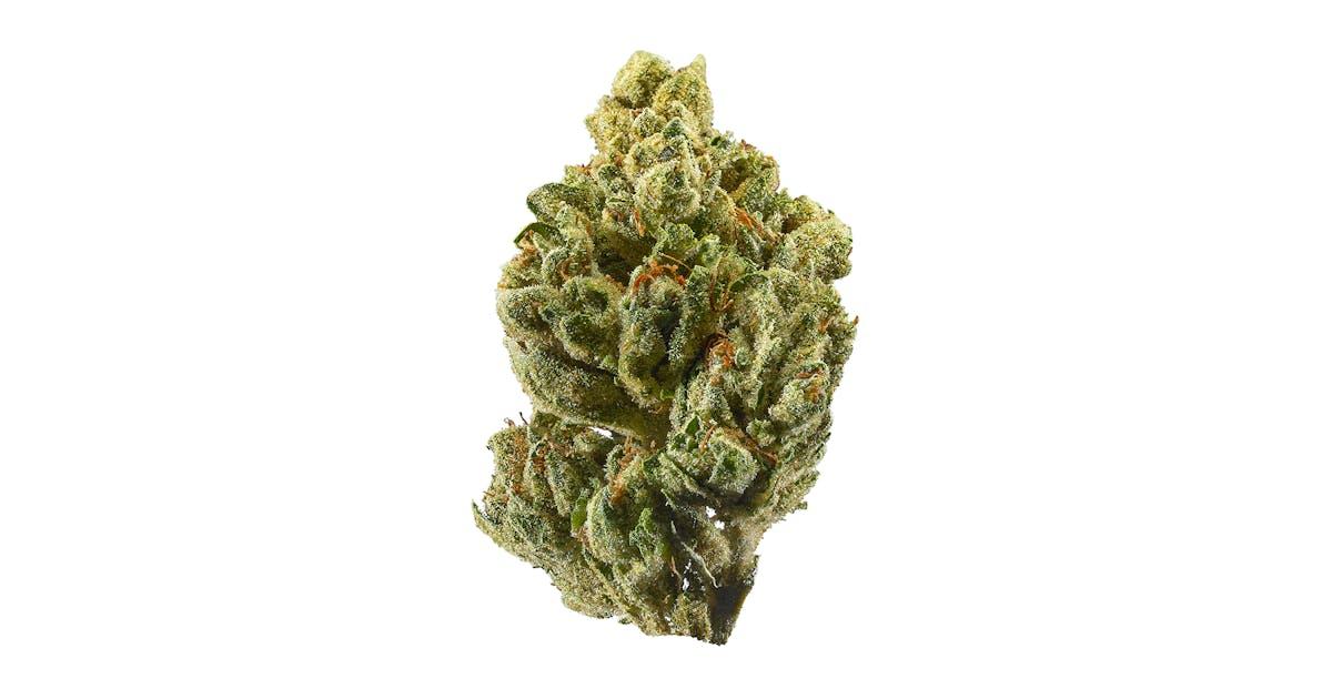 OG Kush