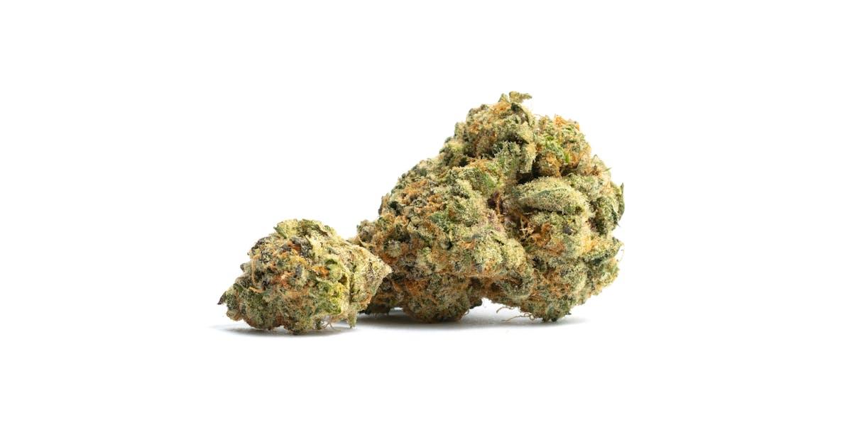 Orange Cookies
