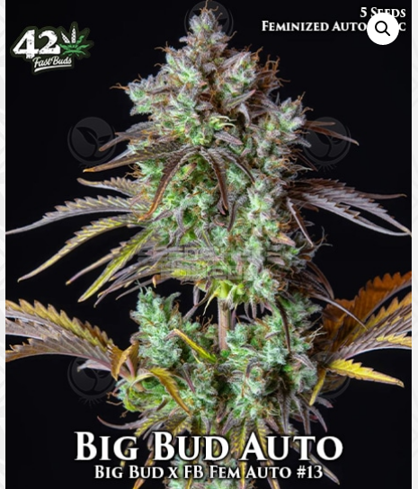 Original Big Bud Auto