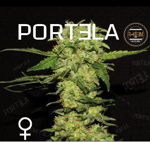 Portela