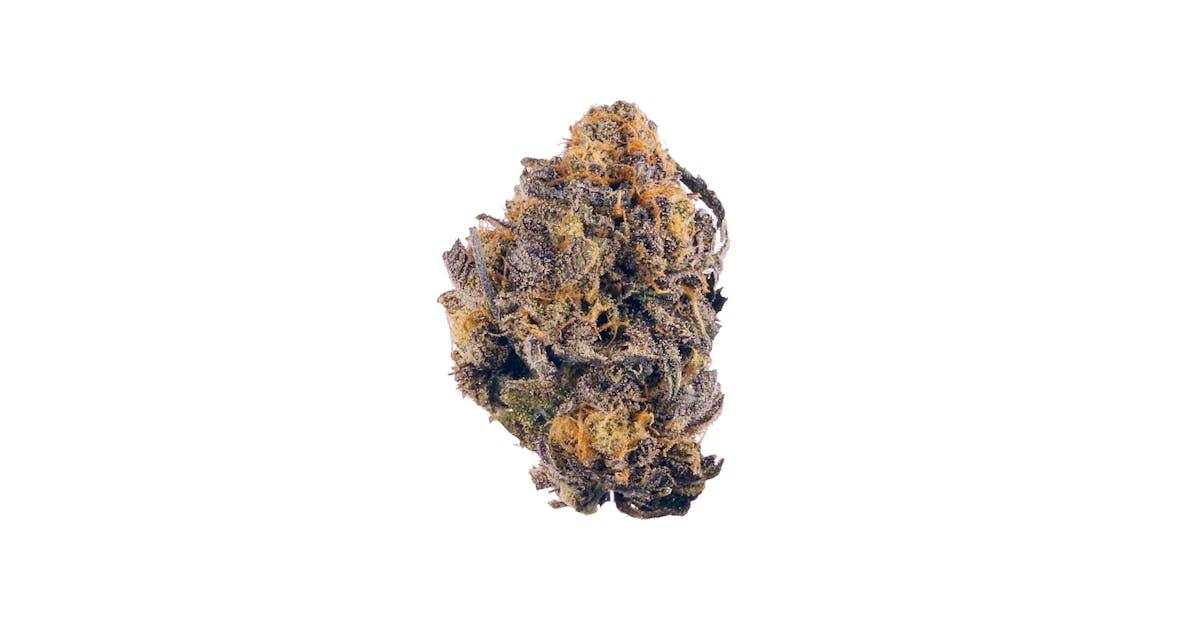 Purple Kush Auto