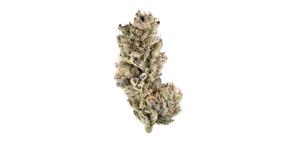 Purple Punch