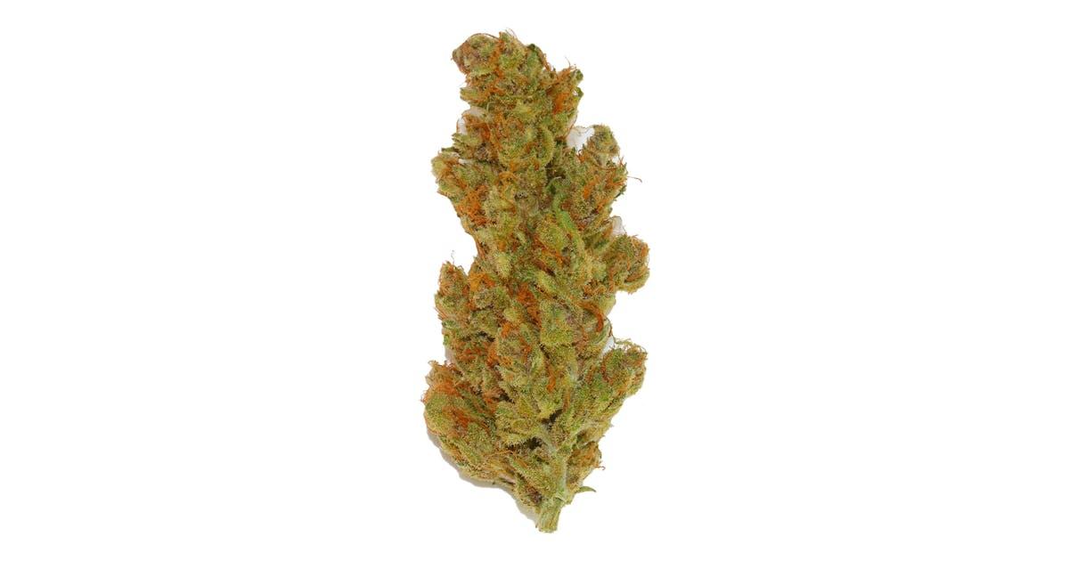 Purple Punch OG XL Auto