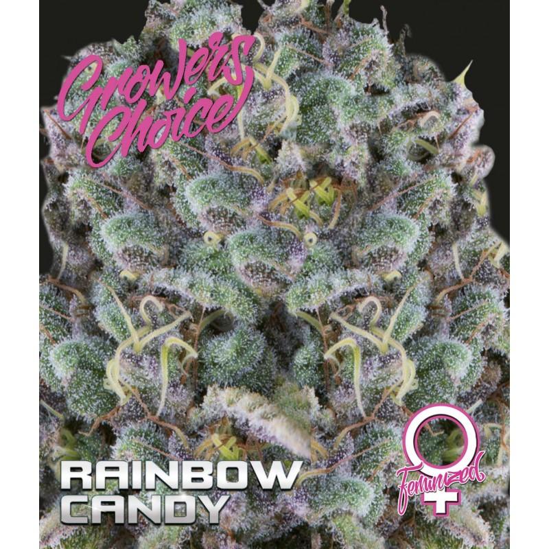 Rainbow Candy Auto