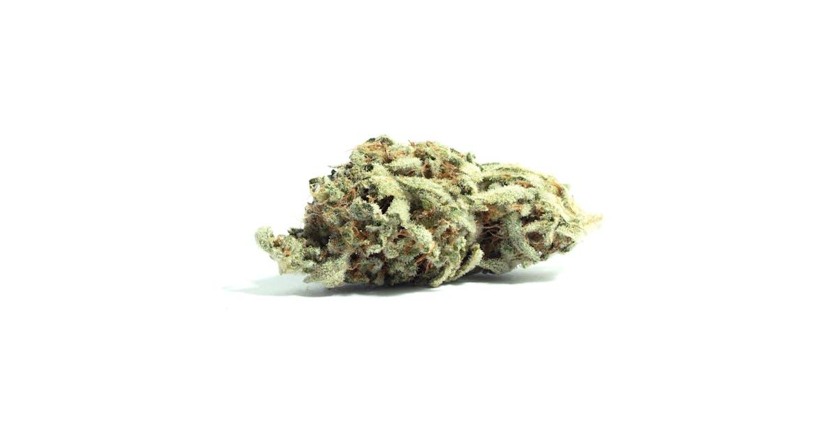 SALE - Lavender - CBD Seeds