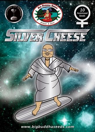 Silver Cheese