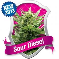 Sour Diesel