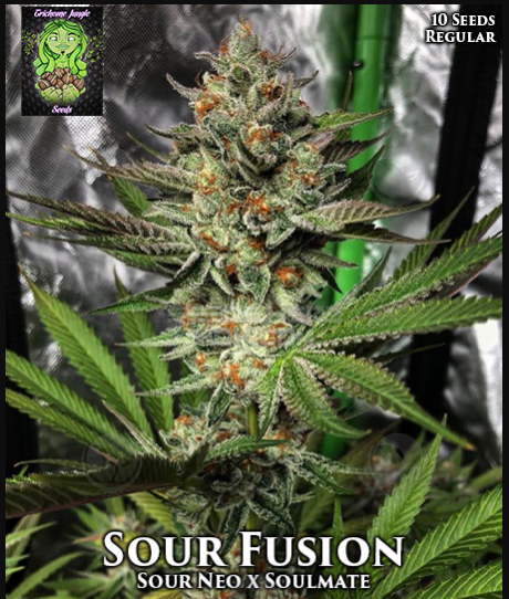 Sour Fusion