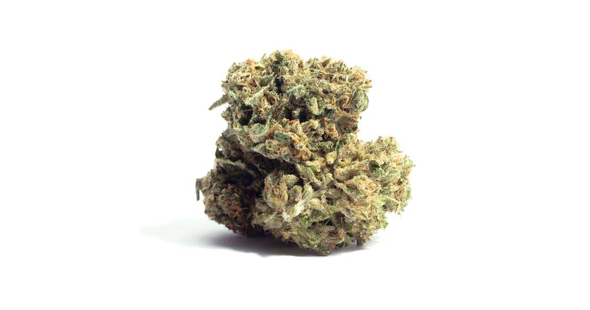 Sour Tsunami