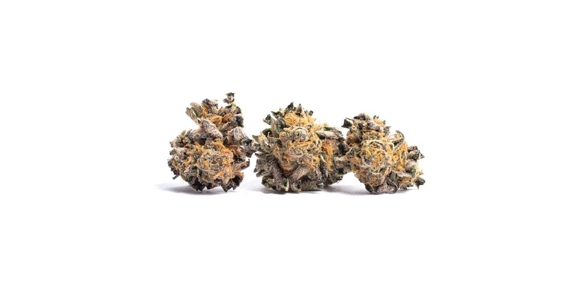 Animal Cookies