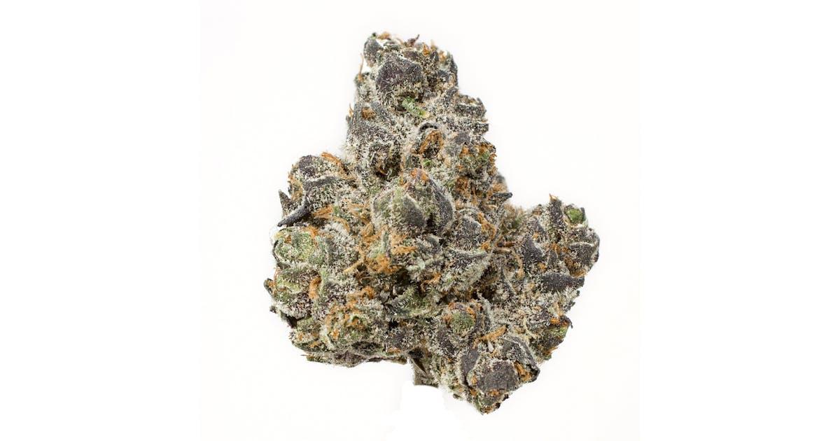 Apple Fritter