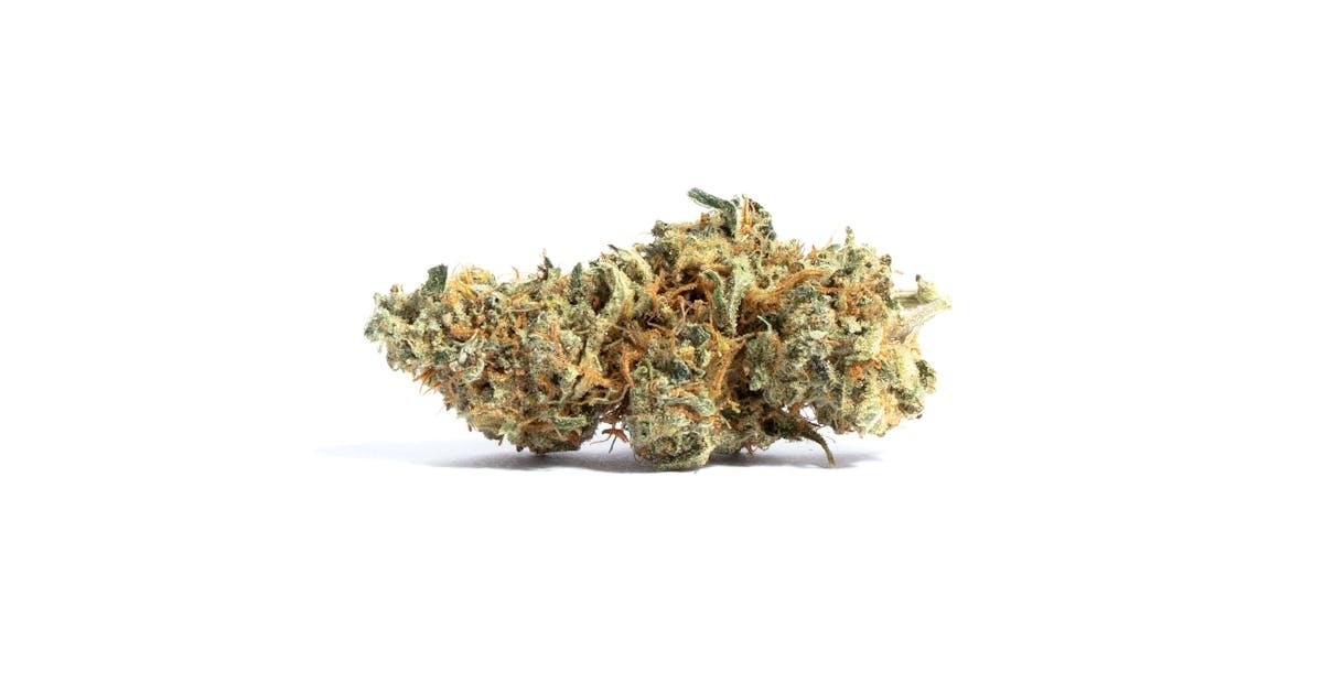 Auto Amnesia
