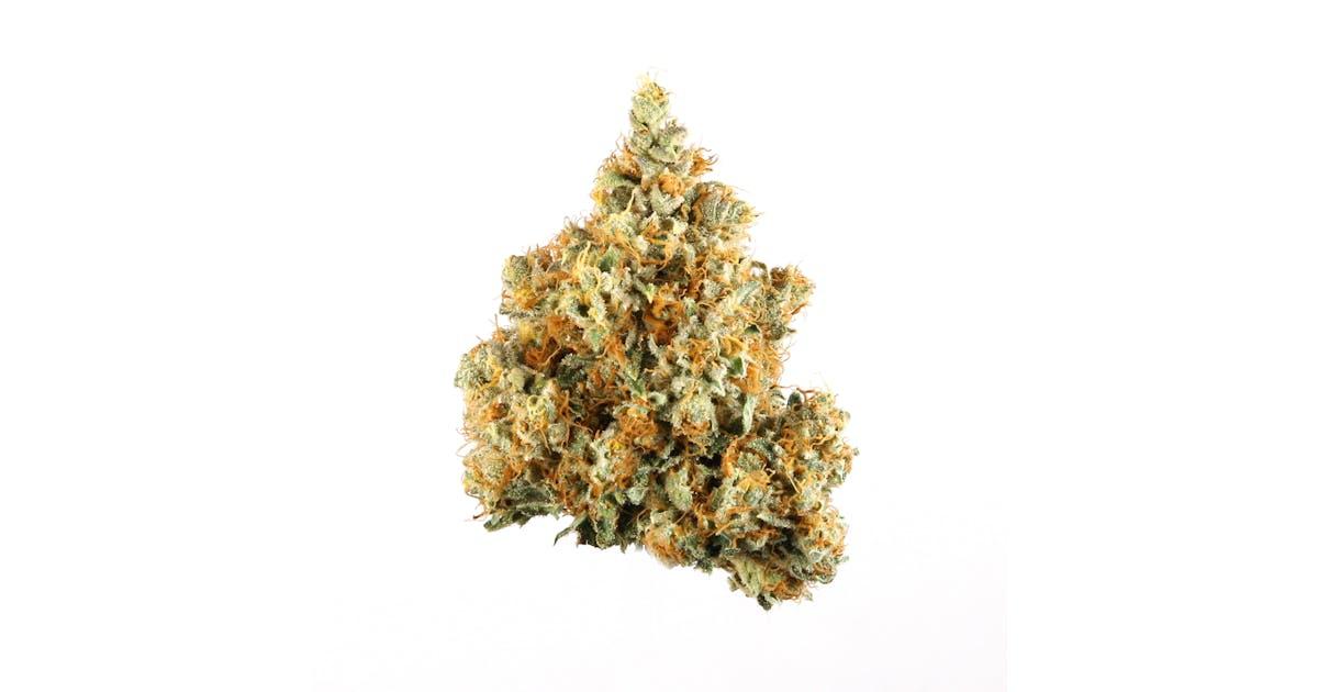 Auto NYC Diesel