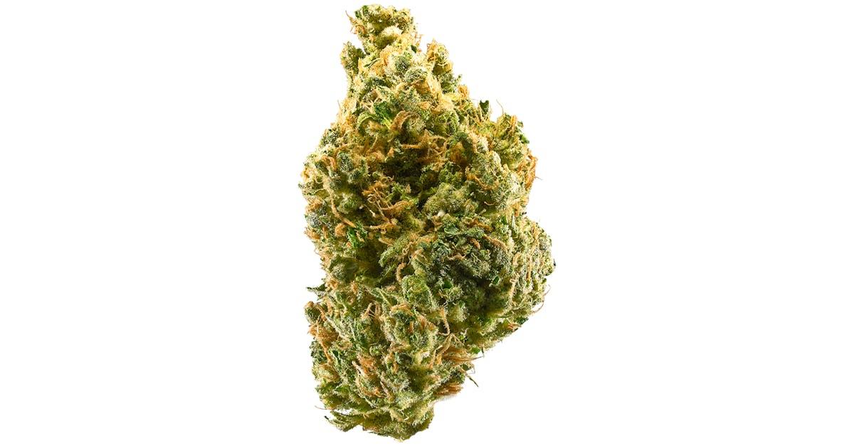 Tangie Auto
