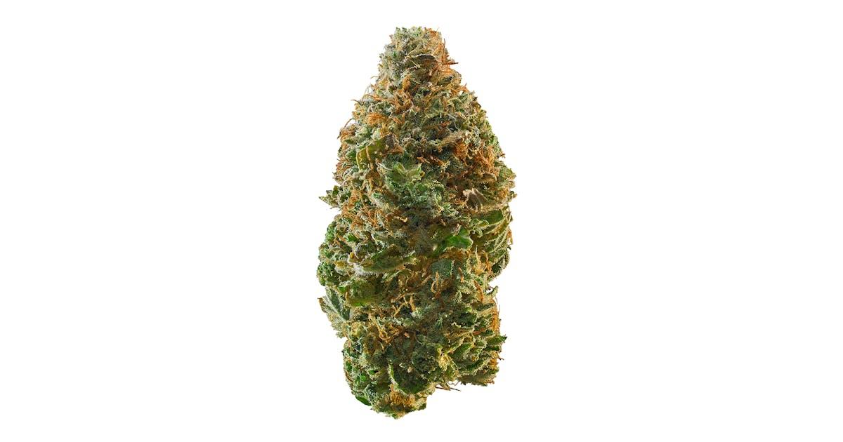 Trainwreck