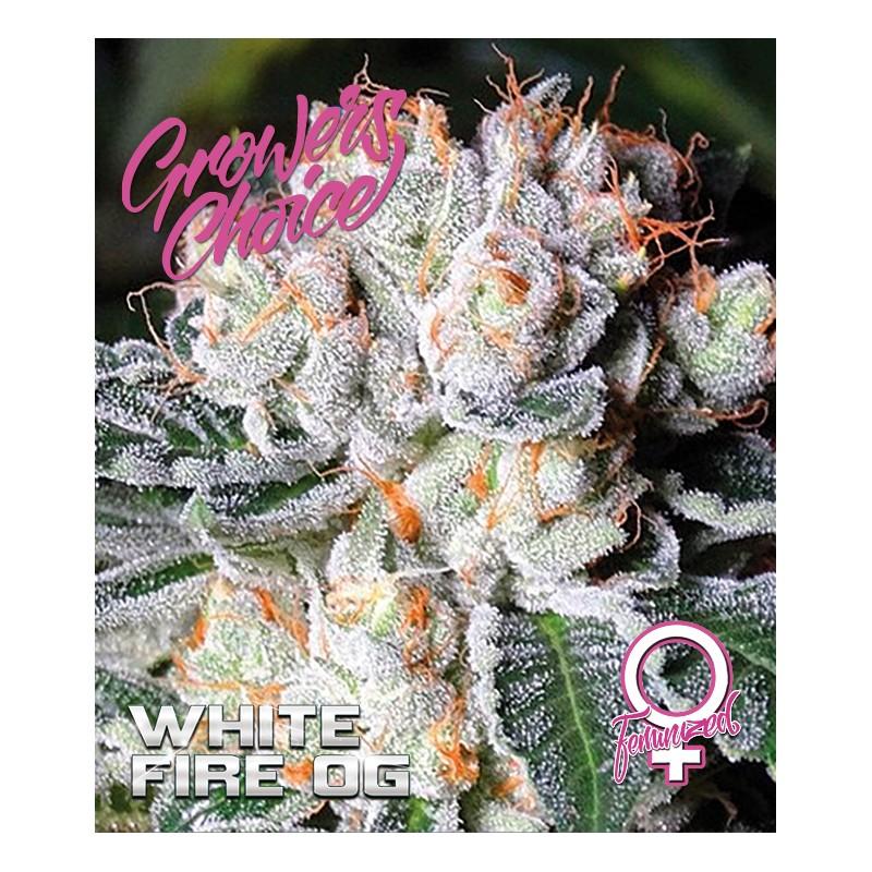 White Fire OG
