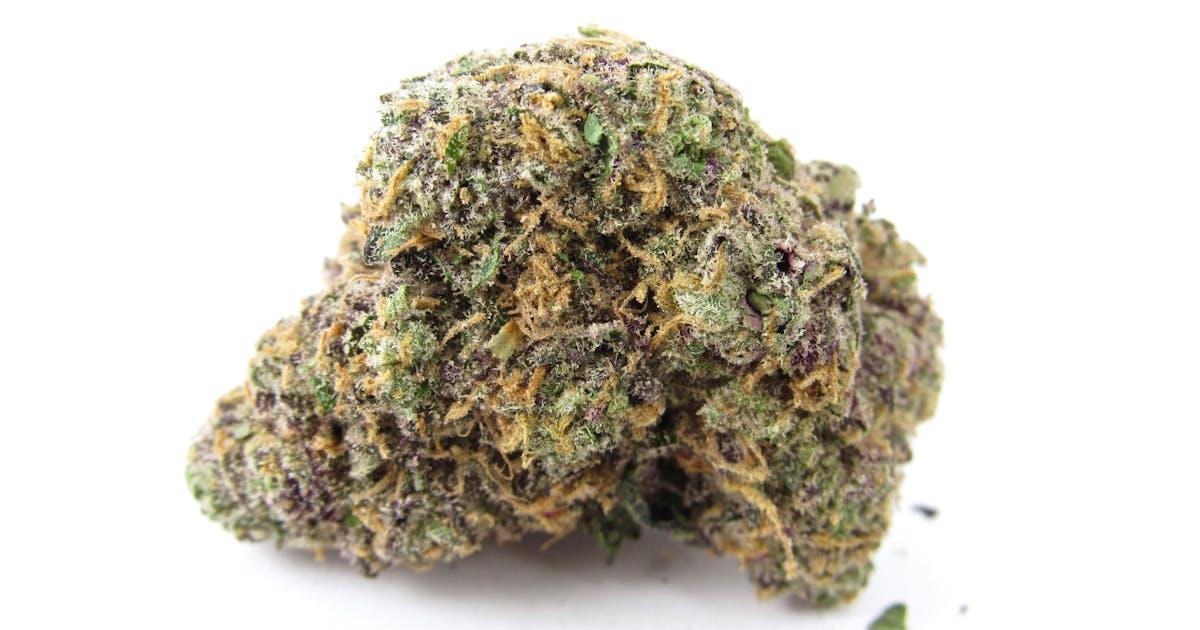 Zoap Auto