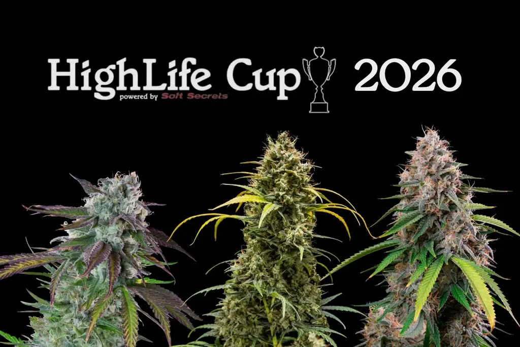 Kraljevske Dame Semena Osvajaju Tri Prvog Mesta na HighLife Kup-u 2026