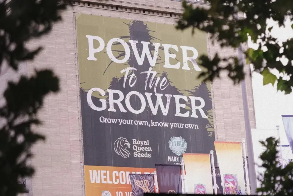 Royal Queen Seeds na Mary Jane Berlin 2026