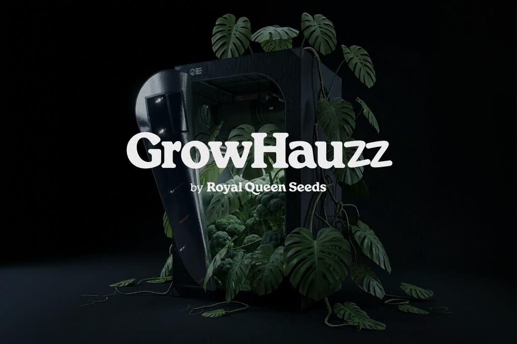 RQS Raste: Predstavljanje GrowHauzz-a