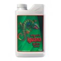 IguanaJuiceBloom_1L_Bottle_Web-500x500.jpg