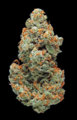 Cannabis-Nug-Jack-Herer.jpg