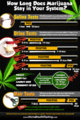 how-long-does-marijuana-stay.jpg
