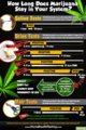how-long-does-marijuana-stay.jpg