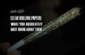 Clear-Rolling-Papers-What-You-Absolutely-Must-Know-About-Them-745x483.jpg