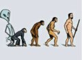 Evolucija.jpg